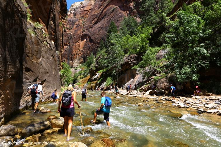 Zion National Park Riverside Walk Utah USA