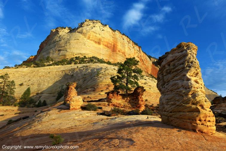 Mount Carmel Highway Zion National Park Utah USA