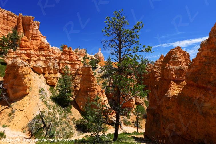 Queen Garden Trail Bryce Canyon National Park Utah USA