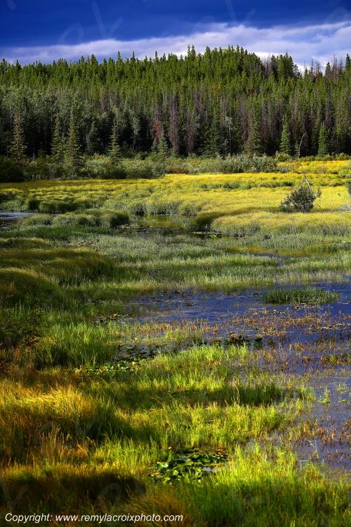 Tweedsmuir Provincial Park British Columbia Canada www.remylacroixphoto.com #tweedsmuir #britishcolumbia #canada