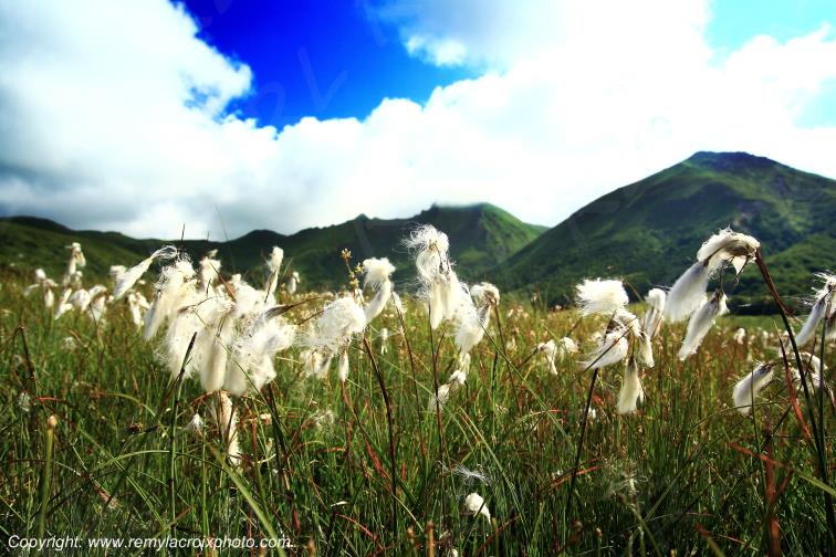 Vall�e glaci�re de la Fontaine Sal�e Sancy Puy de D�me Auvergne Rh�ne-Alpes France www.remylacroixphoto.com