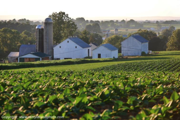 Lancaster Dutch County Amish Strasburg Pennsylvania Pennsylvanie USA ww.remylacroixphoto.com