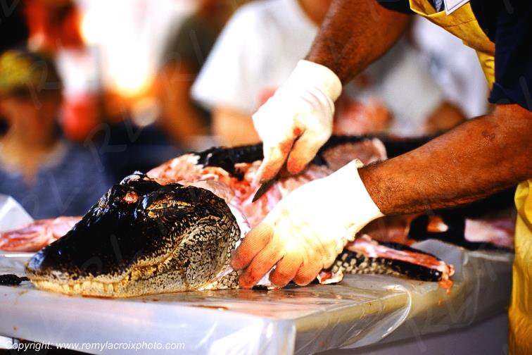 Alligator cooking Cajun Lafayette Louisiane USA www.remylacroixphoto.com