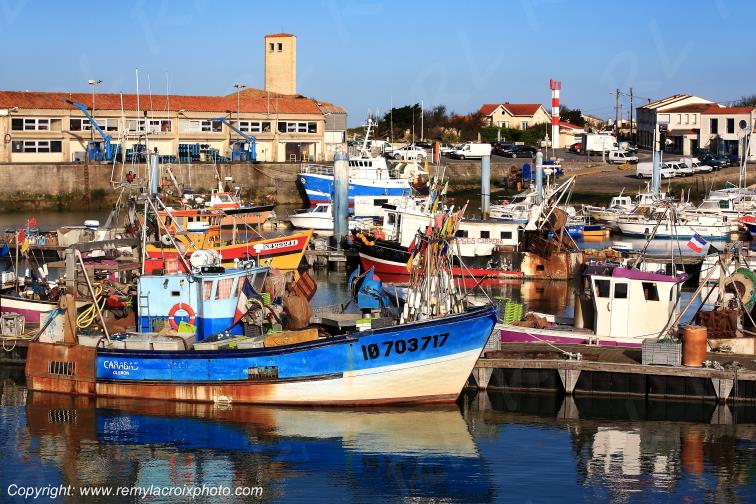 Ol�ron Ile Port de la Cotini�re Charente Maritime Poitou Charentes Nouvelle Aquitaine France www.remylacroixphoto.com