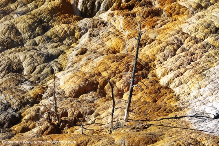 Mammoth Hot Springs Yellowstone National Park Wyoming USA www.remylacroixphoto.com