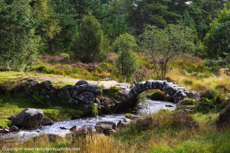 Pont de Senoueix Taurion Creuse Limousin Nouvelle Aquitaine France www.remylacroixphoto.com
