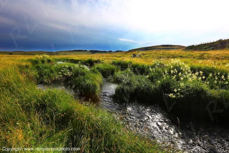 Ruisseau Le Pl�ches Nasbinals Aubrac Loz�re Languedoc-Roussillon Occitanie France www.remylacroixphoto.com