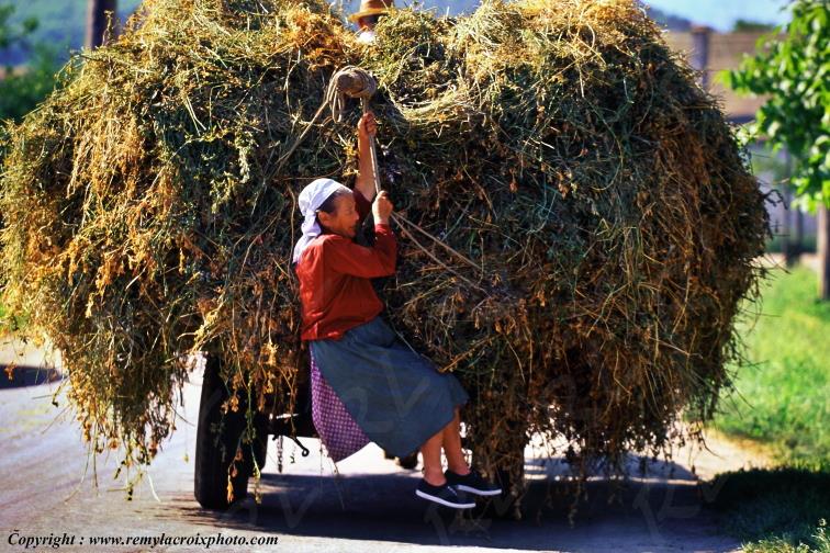 Apoldu de Jos Maramures Romania Roumanie www.remylacroixphoto.com