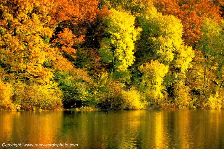 Tron�ais �tang For�t Vitray Allier Auvergne France