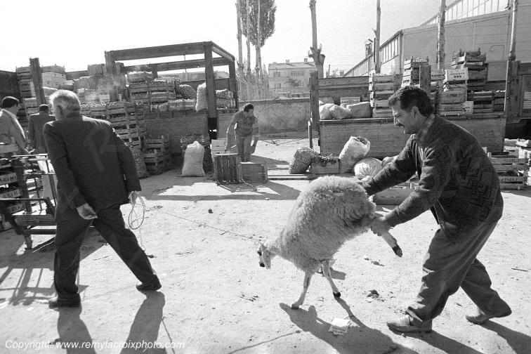 Avanos Market Cappadoce Turquie Turkey www.remylacroixphoto.com