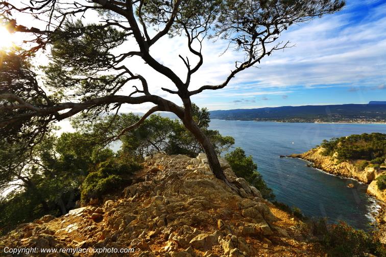 La Madrague Port d'Alon Calanque Var Provence Alpes C�te d'Azur PACA France www.remylacroixphoto.com