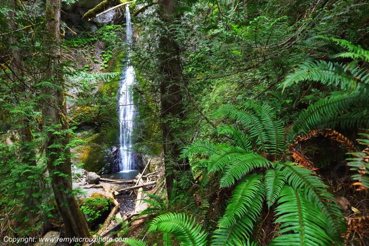 Marymere Falls Trail Olympic National Park Washington USA www.remylacroixphoto.com
