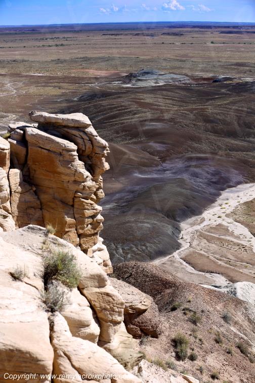 Blue Mesa Petrified Forest National Park Arizona USA