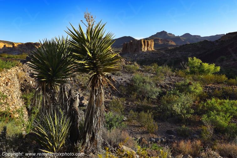 Mojave desert Sitgreaves Pass Route 66 Mother Road Arizona USA www.remylacroixphoto.com