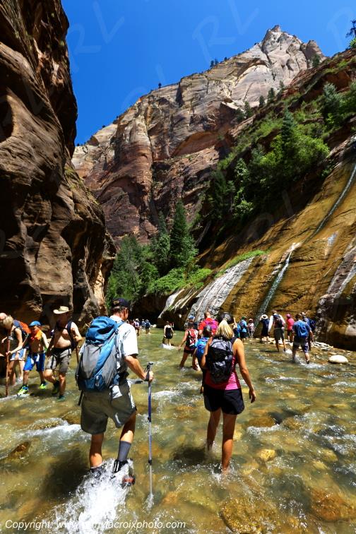 Zion National Park Riverside Walk Utah USA