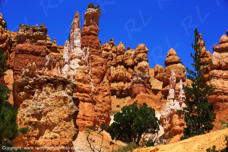 Queen Garden Trail Bryce Canyon National Park Utah USA