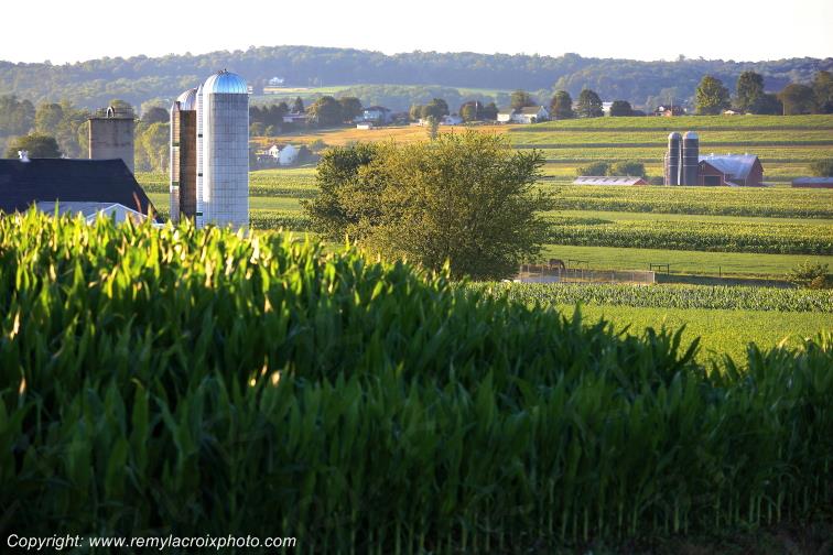 Lancaster Dutch County Amish Strasburg Pennsylvania Pennsylvanie USA ww.remylacroixphoto.com