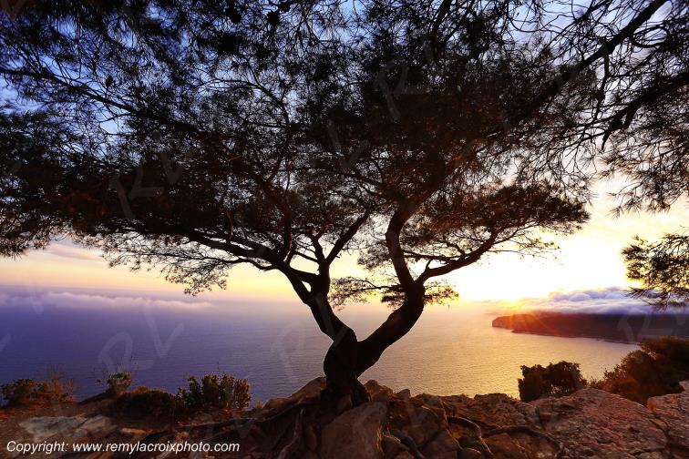 Calanques Route des Cr�tes Bouches du Rh�ne Provence Alpes C�te d'Azur France www.remylacroixphoto.com