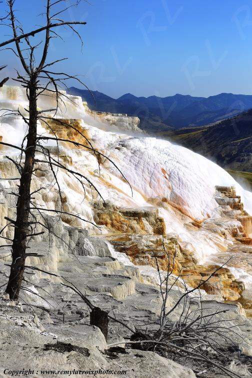 Mammoth Hot Springs Yellowstone National Park Wyoming USA www.remylacroixphoto.com