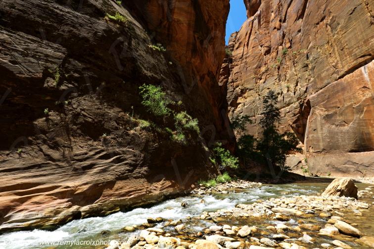 Zion National Park Riverside Walk Utah USA