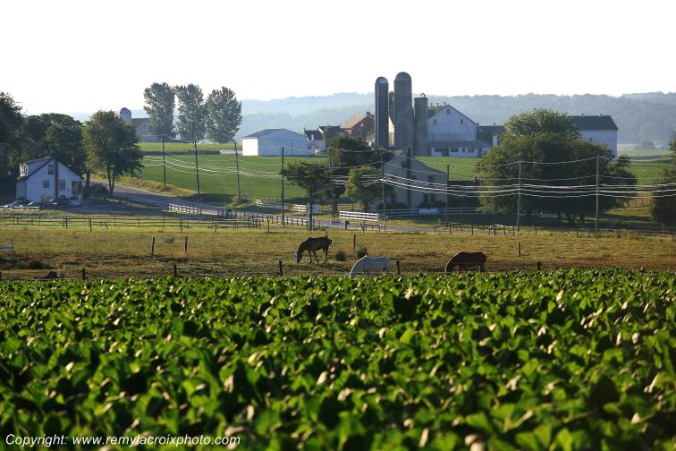 Lancaster Dutch County Amish Strasburg Pennsylvania Pennsylvanie USA ww.remylacroixphoto.com