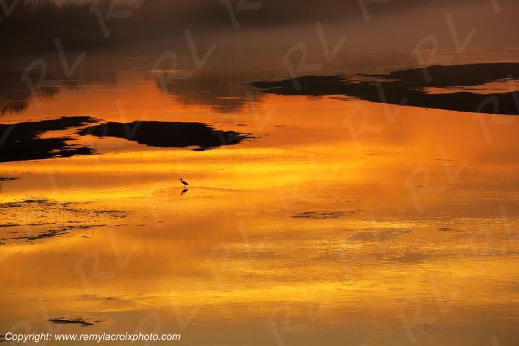 Candes Saint Martin la Vienne Indre et Loire Centre Val de Loire France