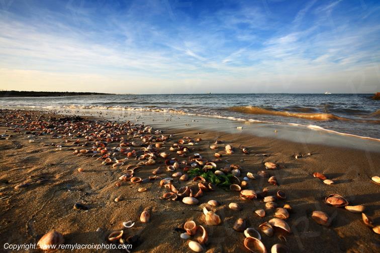 Ol�ron Ile Boyardville Plage Chalutier Charente Maritime Poitou Charentes Nouvelle Aquitaine France www.remylacroixphoto.com
