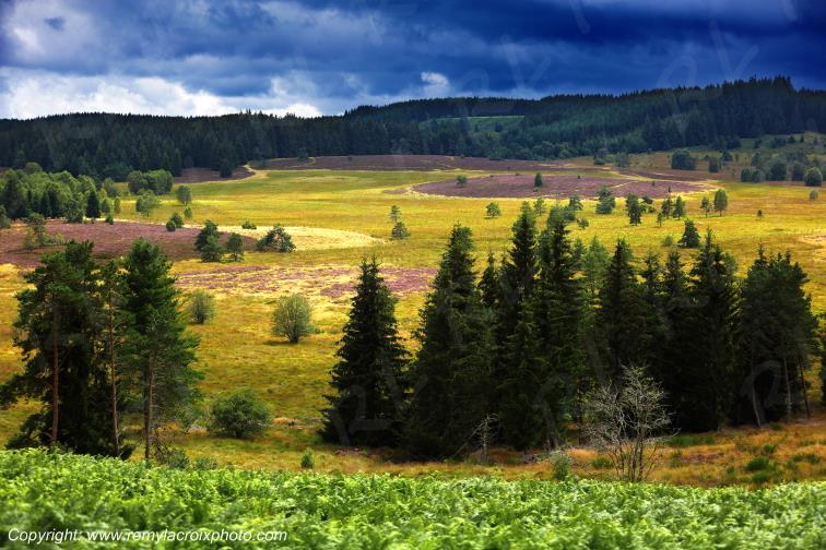 Tourbi�re du Long�roux plateau de Millevaches Corr�ze Limousin France