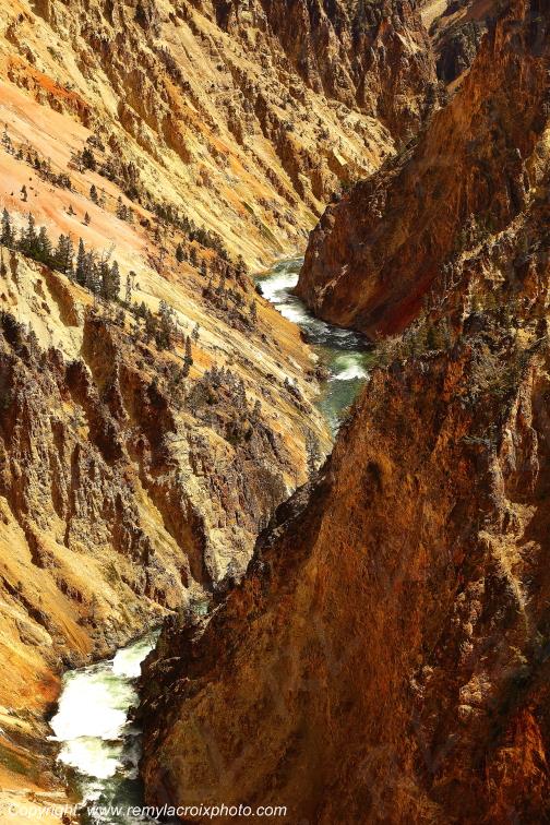 Grand Canyon Yellowstone National Park Wyoming USA www.remylacroixphoto.com