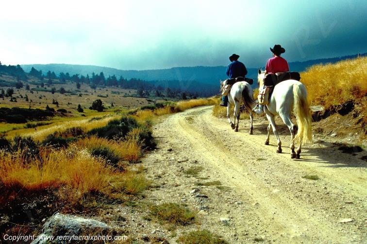 Cavaliers C�vennes Loz�re Languedoc-Roussillon Occitanie France www.remylacroixphoto.com