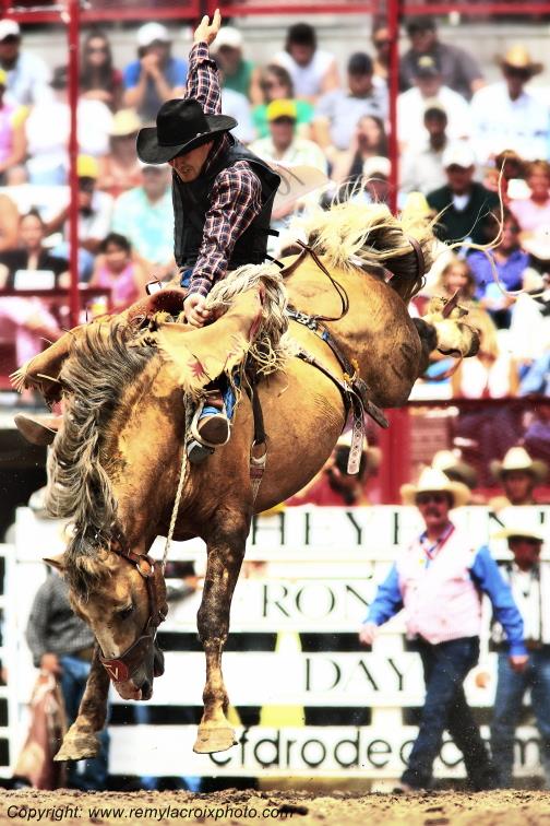 Rodeo Cheyenne Frontier Days Wyoming USA www.remylacroixphoto.com
