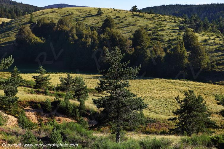 C�vennes l'Esp�rou Gard Occitanie Languedoc Roussillon France www.remylacroixphoto.com