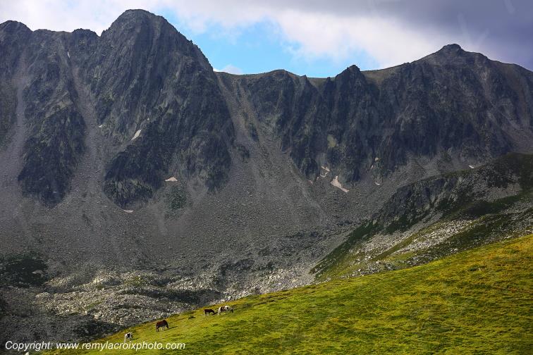 Col de Puymorens Pyr�n�es Orientales Occitanie Languedoc Roussillon France www.remylacroixphoto.com