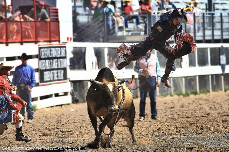 Rodeo Cheyenne Frontier Days bull-riding Wyoming USA www.remylacroixphoto.com