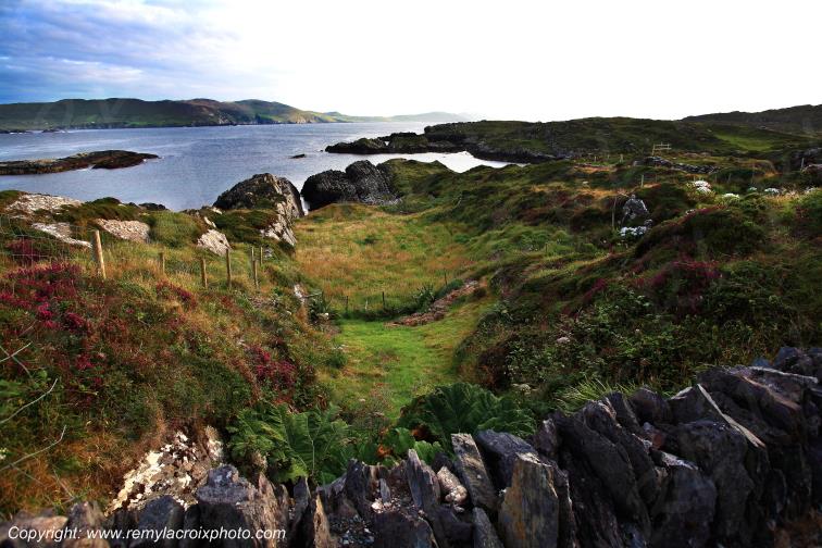 P�ninsule de Beara Allihies Cork Irlande Ireland www.remylacroixphoto.com