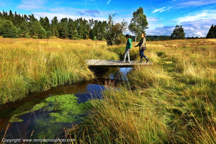 Tourbi�re du Long�roux plateau de Millevaches Corr�ze Limousin France