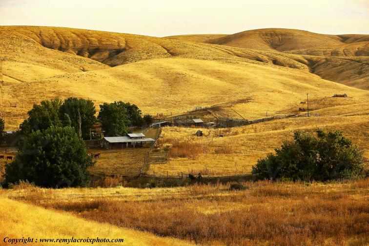 Dayton Washington USA www.remylacroixphoto.com