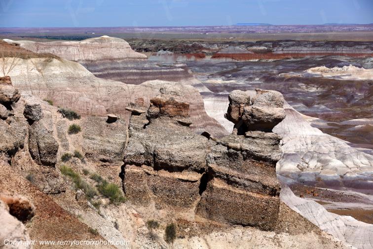 Blue Mesa Petrified Forest National Park Arizona USA
