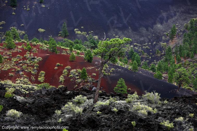 Sunset Crater National Monument,Arizona,USA