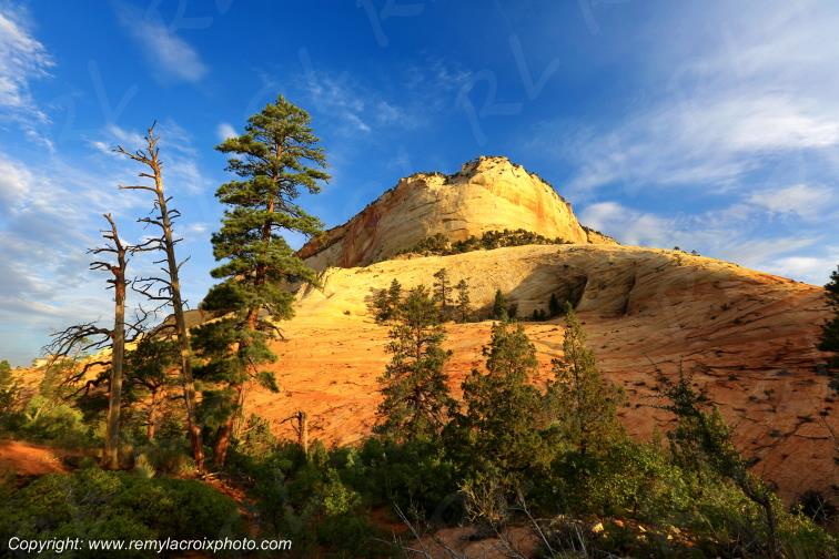 Mount Carmel Highway Zion National Park Utah USA