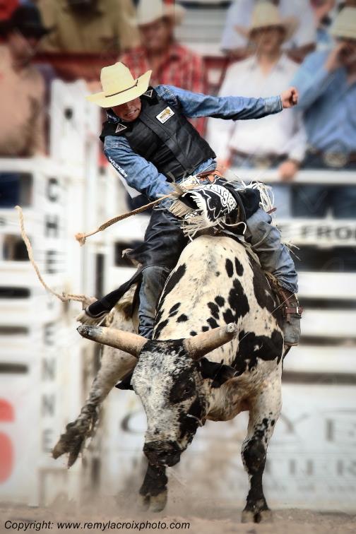 Rodeo Cheyenne Frontier Days bull-riding Wyoming USA www.remylacroixphoto.com