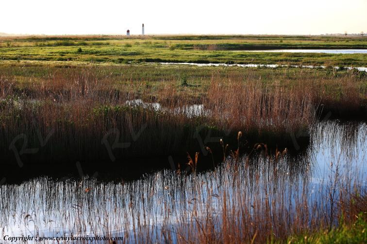 Fouras Aix Ile Rade Marais Charente Maritime Poitou Charentes Nouvelle Aquitaine France www.remylacroixphoto.com