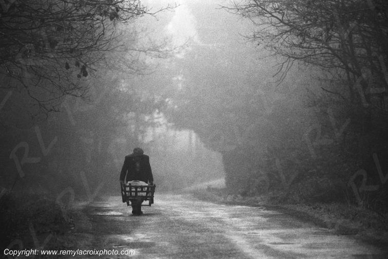 Broceliande for�t Morbihan Bretagne France www.remylacroixphoto.com