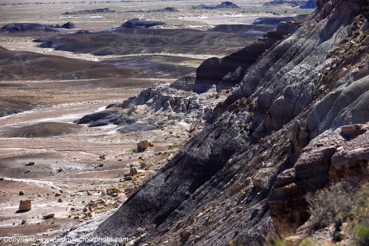 Blue Mesa Petrified Forest National Park Arizona USA