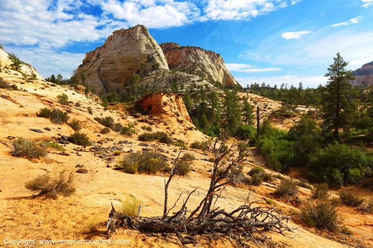 Mount Carmel Highway Zion National Park Utah USA