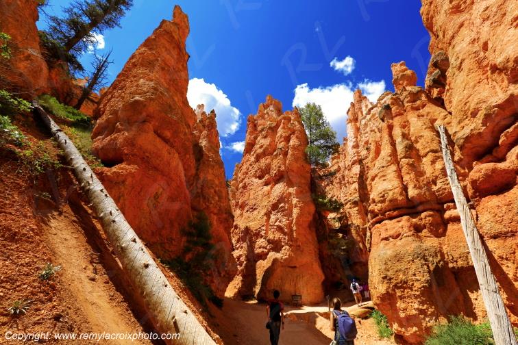 Queen Garden Trail Bryce Canyon National Park Utah USA