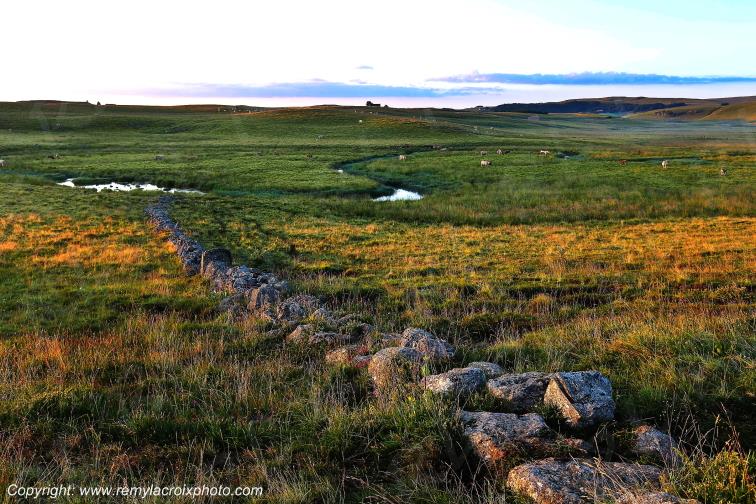 Ruisseau Le Pl�ches Nasbinals Aubrac Loz�re Languedoc-Roussillon Occitanie France www.remylacroixphoto.com