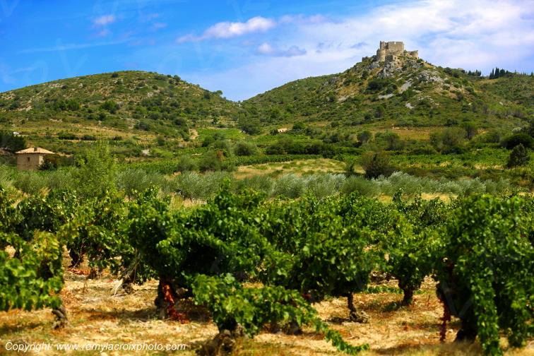 Ch�teau Cathare d'Aguilar vignoble du Haut-Fitou Corbi�res Aude France