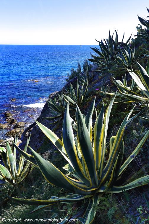 Cap Sici� Var Provence Alpes C�te d'Azur PACA France www.remylacroixphoto.com