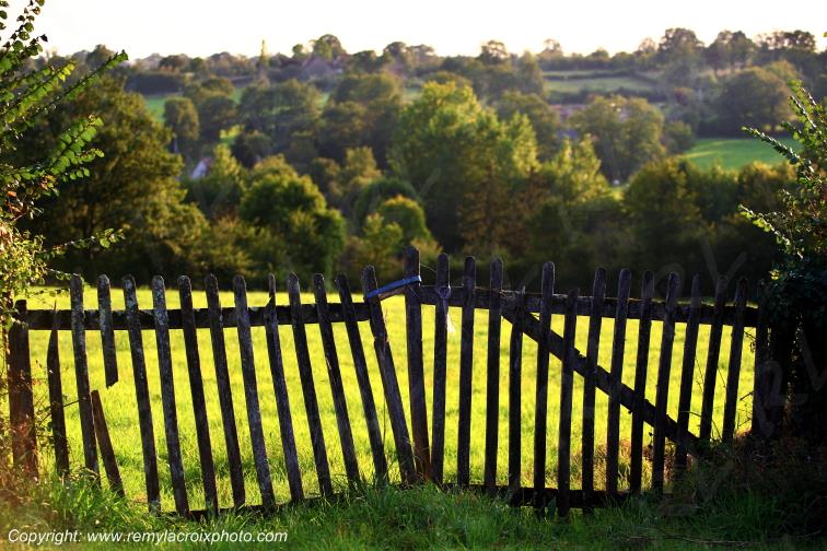 Lys Saint Georges Indre Berry Centre Val de Loire France